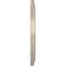 Ekena Millwork Traditional PVC Medallion (Canopies up to 13 1/2"), 22"OD x 3 1/2"ID x 1 1/2"P, Metallic Mist CMP22TREPE - alternate 3